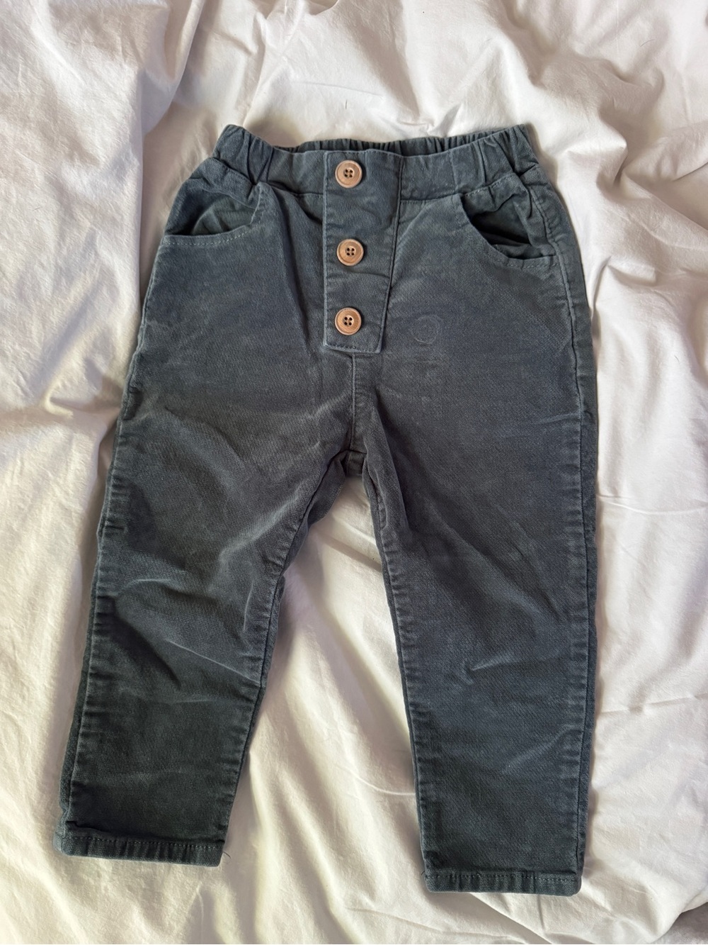 Zara Blue Gray Velvet Joggers with Button-Front